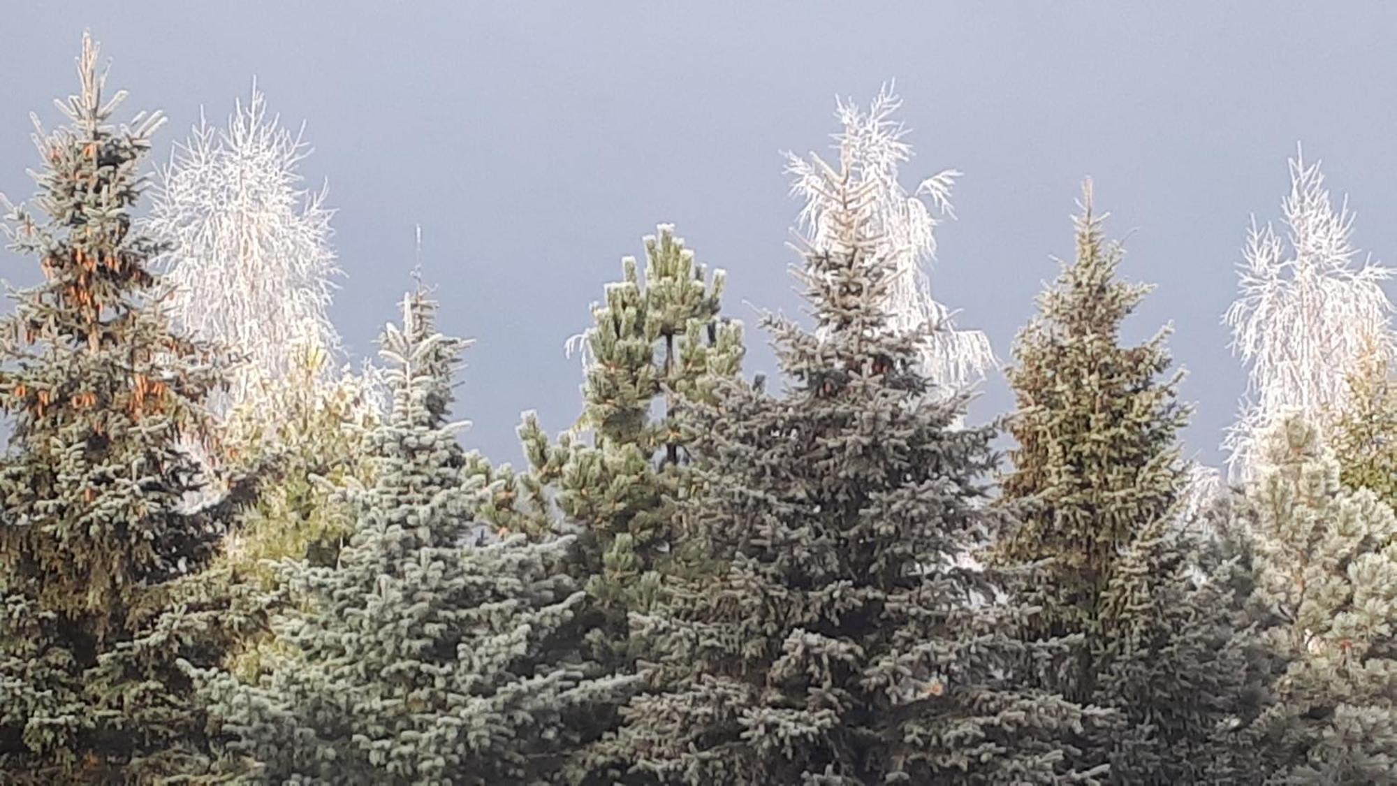 Pokoje Apartamenty Pod Limbą Zakopane Zewnętrze zdjęcie