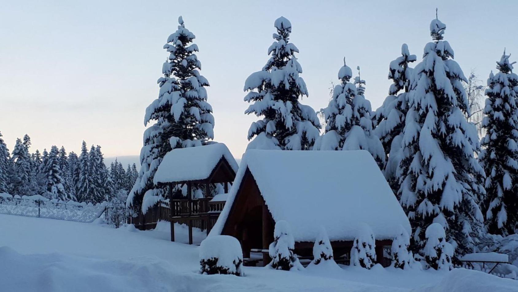Pokoje Apartamenty Pod Limbą Zakopane Zewnętrze zdjęcie