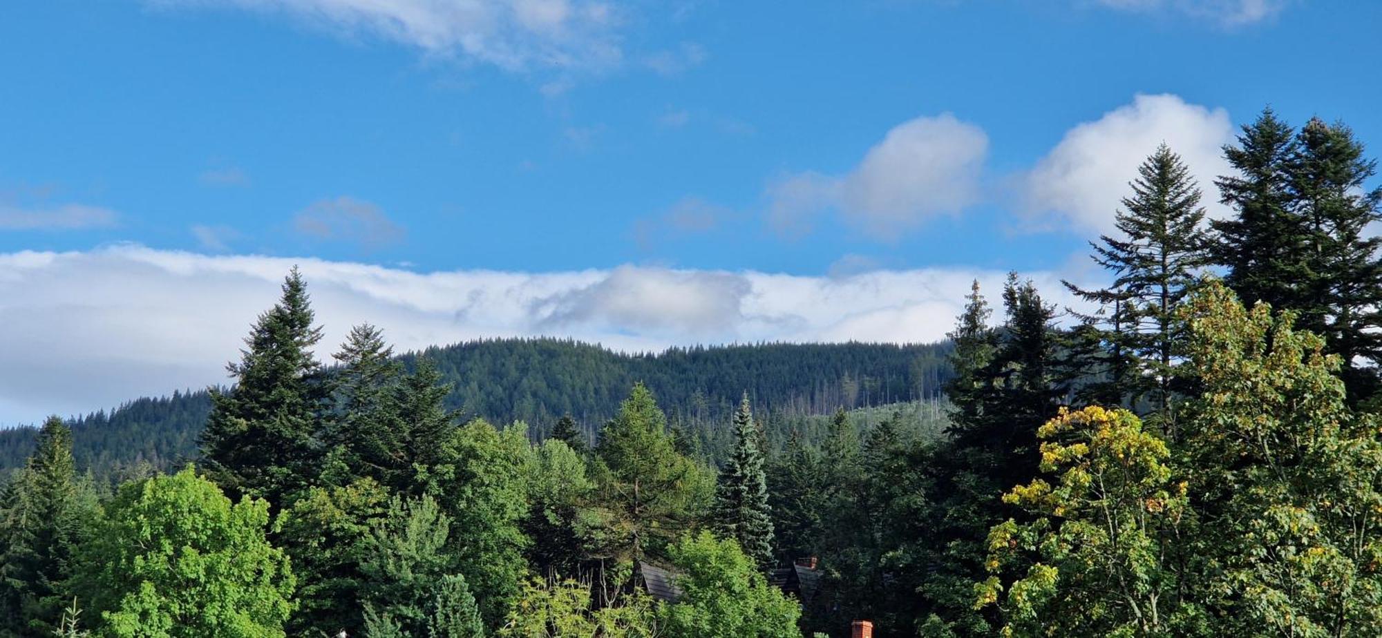 Pokoje Apartamenty Pod Limbą Zakopane Zewnętrze zdjęcie